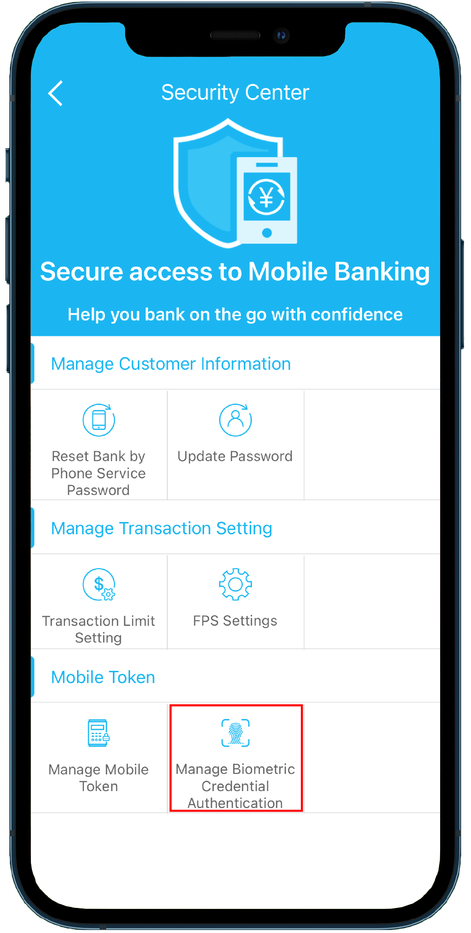 Mobile Token and Biometric Credential Authentication Service e