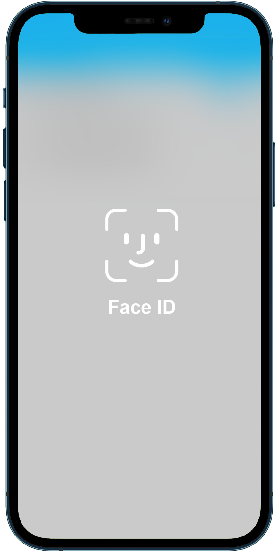 activate Biometric Credential Authentication