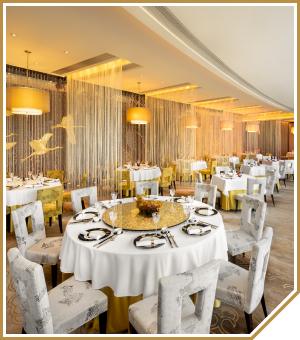 Michelin starred dining experience in Macau