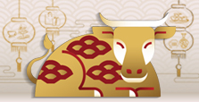 Chinese New Year Shopping Discounts