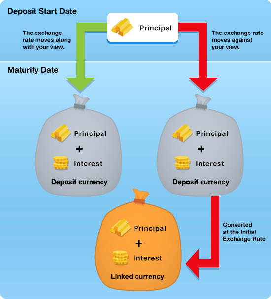 Product Structure